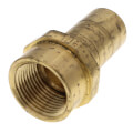 3/4" CTS x 3/4" FNPT Threaded Fitting Adapter (Lead Free) in Muscat Oman